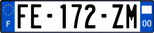 FE-172-ZM