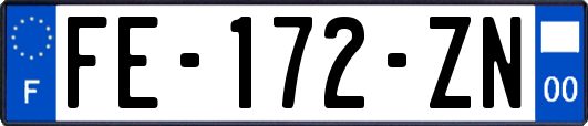 FE-172-ZN