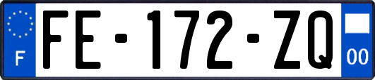 FE-172-ZQ