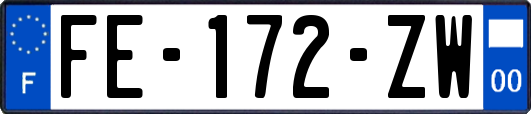 FE-172-ZW