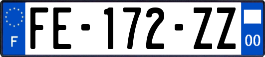 FE-172-ZZ