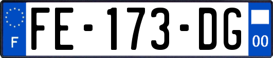 FE-173-DG