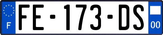 FE-173-DS