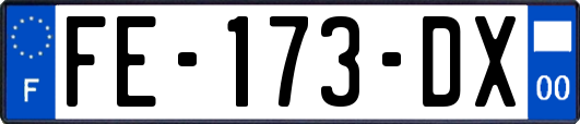 FE-173-DX