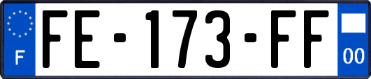 FE-173-FF