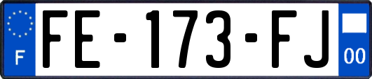 FE-173-FJ