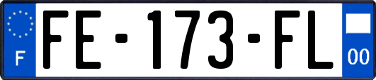 FE-173-FL