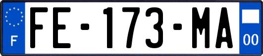 FE-173-MA
