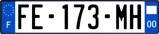 FE-173-MH