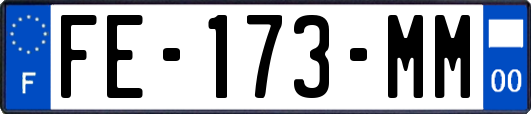 FE-173-MM