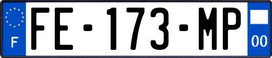 FE-173-MP