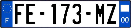 FE-173-MZ