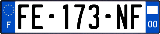 FE-173-NF