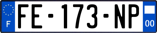 FE-173-NP