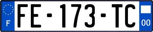 FE-173-TC