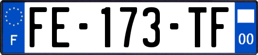 FE-173-TF