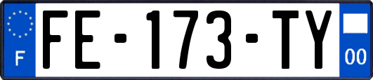 FE-173-TY