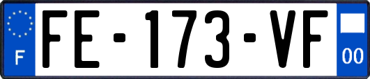 FE-173-VF
