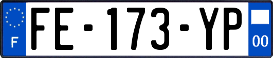 FE-173-YP