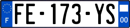 FE-173-YS