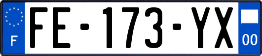 FE-173-YX