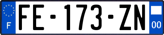 FE-173-ZN