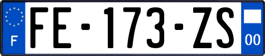 FE-173-ZS