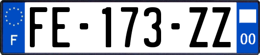 FE-173-ZZ