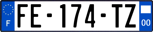 FE-174-TZ