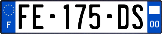 FE-175-DS