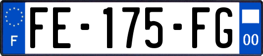 FE-175-FG