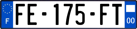 FE-175-FT