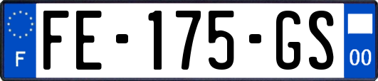 FE-175-GS