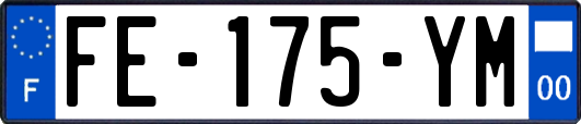 FE-175-YM