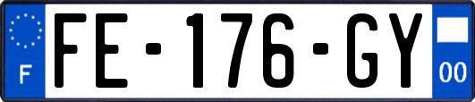FE-176-GY