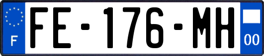 FE-176-MH