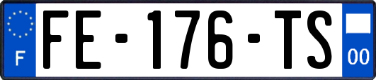 FE-176-TS