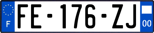 FE-176-ZJ