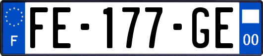FE-177-GE