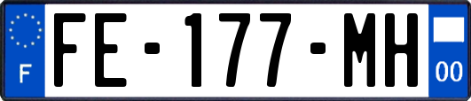 FE-177-MH