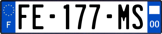 FE-177-MS