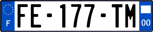 FE-177-TM