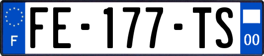 FE-177-TS