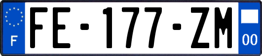 FE-177-ZM