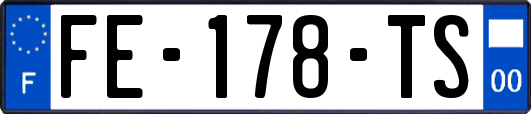 FE-178-TS