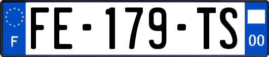 FE-179-TS