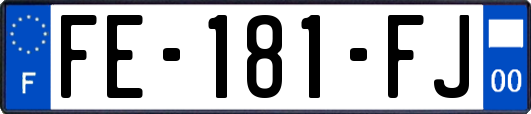 FE-181-FJ