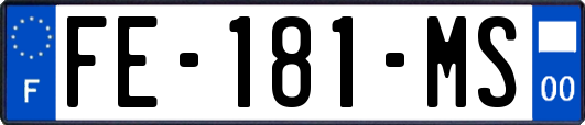 FE-181-MS
