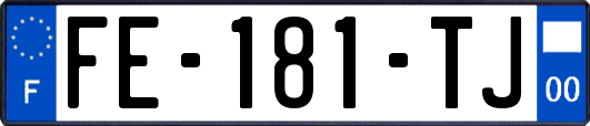 FE-181-TJ