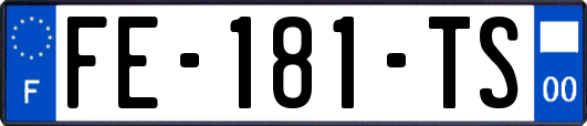 FE-181-TS